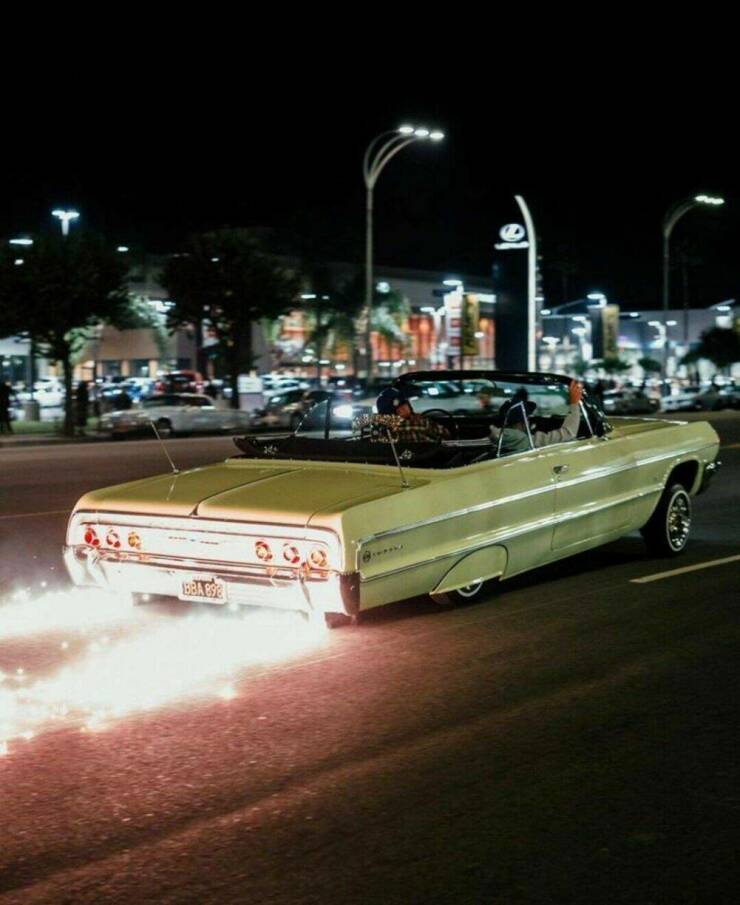 Daily Picdump Daily Picdump