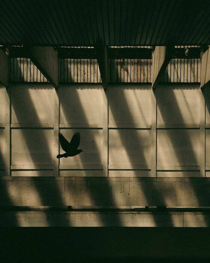 Urban Moments Framed in Light, Shadow, and Symmetry