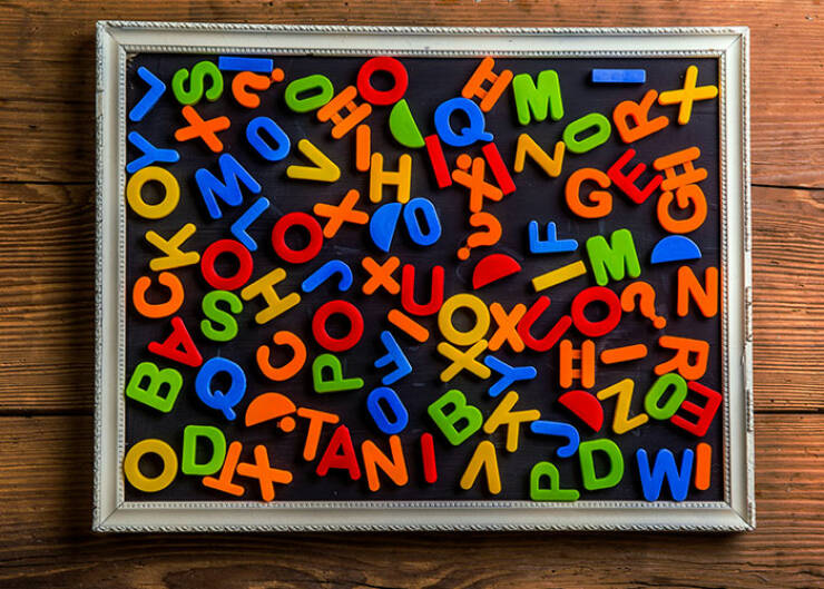 Tiny Humans, Big Opinions