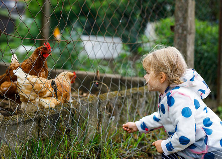 Tiny Humans, Big Opinions