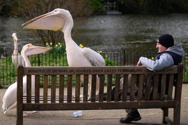 When Regular Just Isn’t Big Enough When Regular Just Isn’t Big Enough