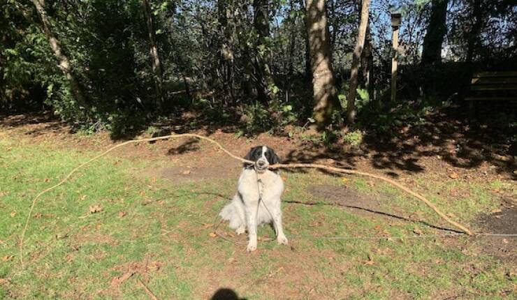 When Regular Just Isn’t Big Enough When Regular Just Isn’t Big Enough