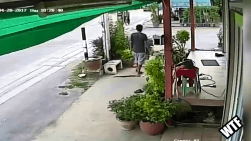 Well, Didn Well, Didnt See That Coming