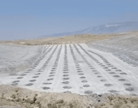 Well, Didn Well, Didnt See That Coming