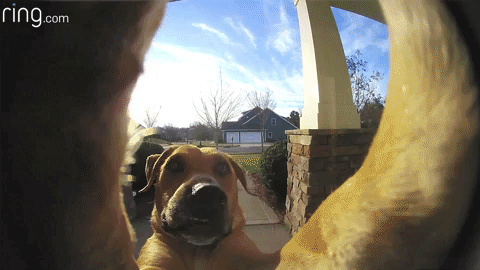 What We Miss Most About the Pre-Smartphone Era