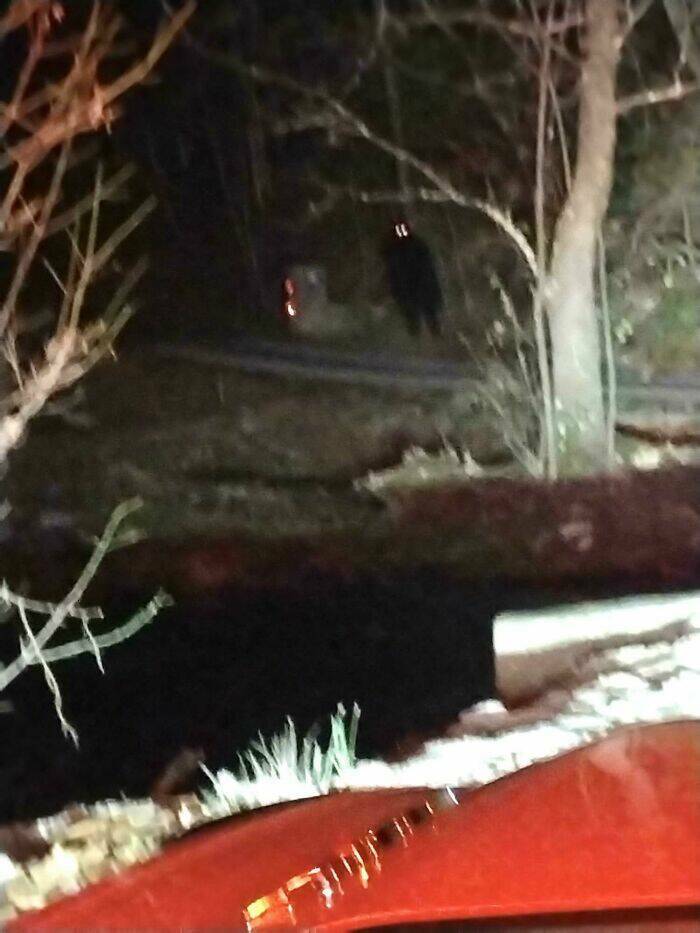 Encounters So Creepy, You’ll Sleep With The Lights On (50 PICS