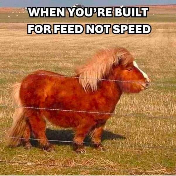 Funny Picdump
