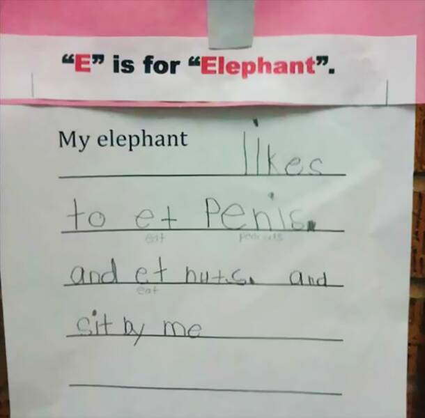 Kids Funniest Test Answers Thatll Make You Cry Laughing