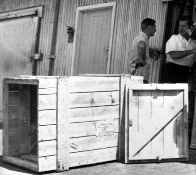 Fascinating Pics That Tell A Story