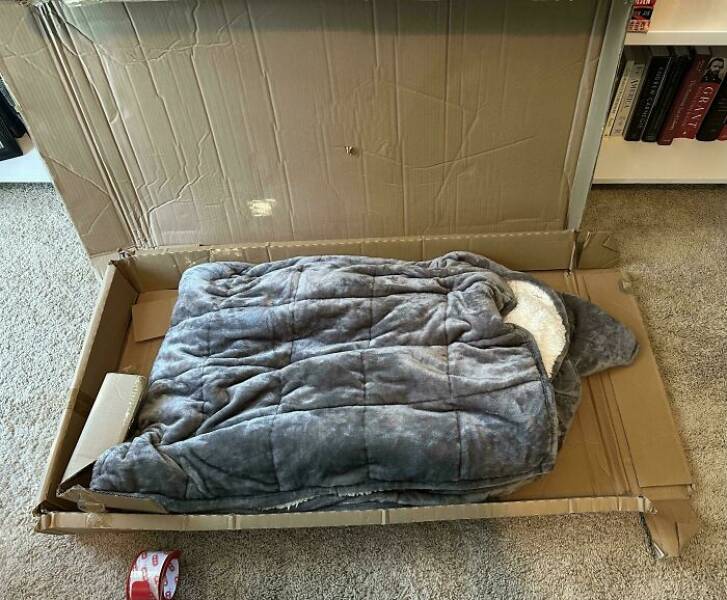 Proof That Parenting Is Just Controlled Chaos