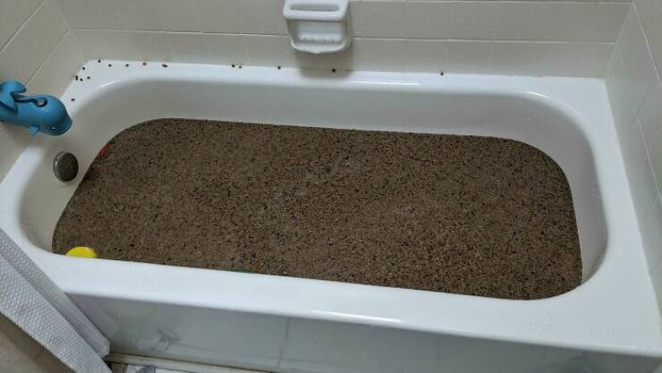 Proof That Parenting Is Just Controlled Chaos