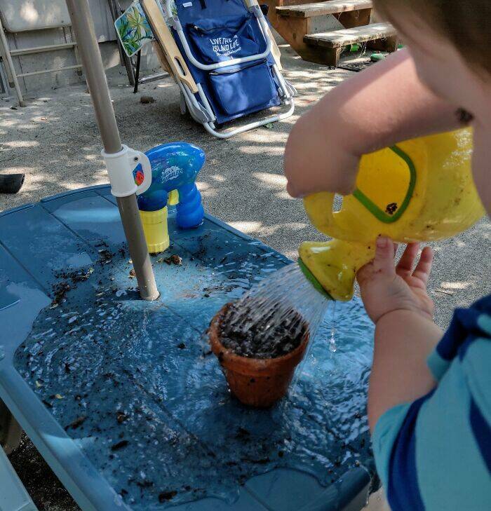 Proof That Parenting Is Just Controlled Chaos