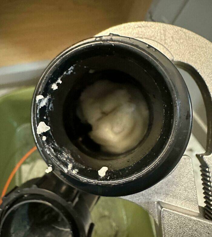 Proof That Parenting Is Just Controlled Chaos