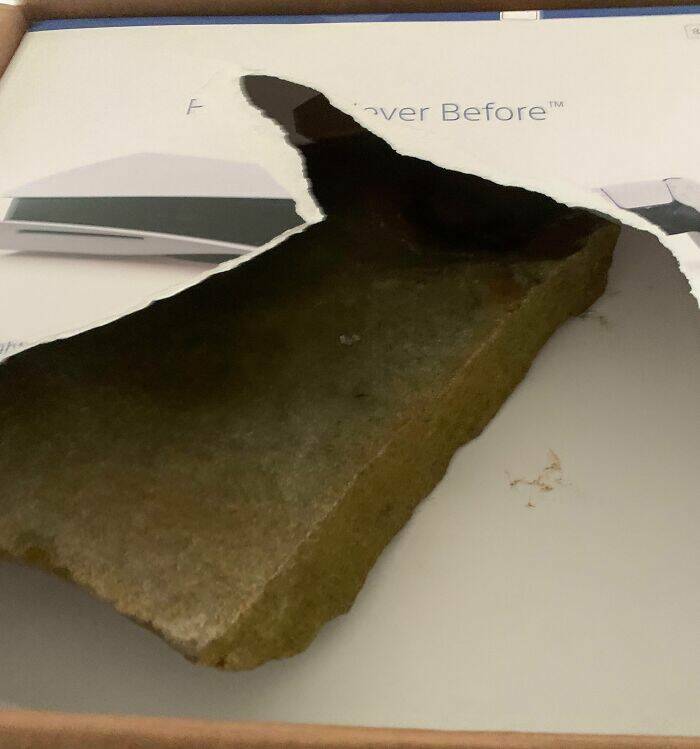 Proof That Parenting Is Just Controlled Chaos