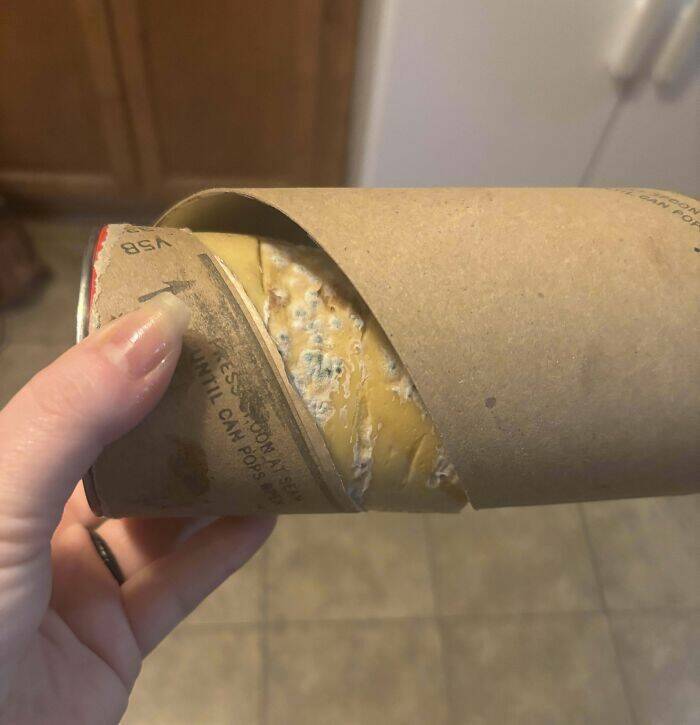 Proof That Parenting Is Just Controlled Chaos