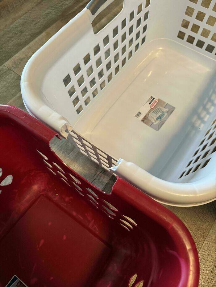 Proof That Parenting Is Just Controlled Chaos