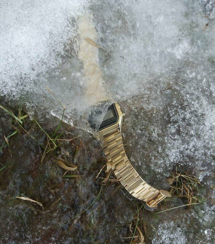 Proof That Parenting Is Just Controlled Chaos