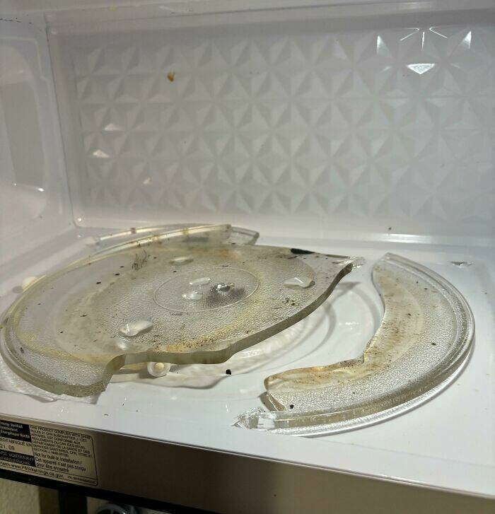 Proof That Parenting Is Just Controlled Chaos