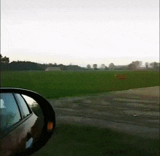 Daily Gifdump Daily Gifdump