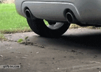 Daily Gifdump Daily Gifdump