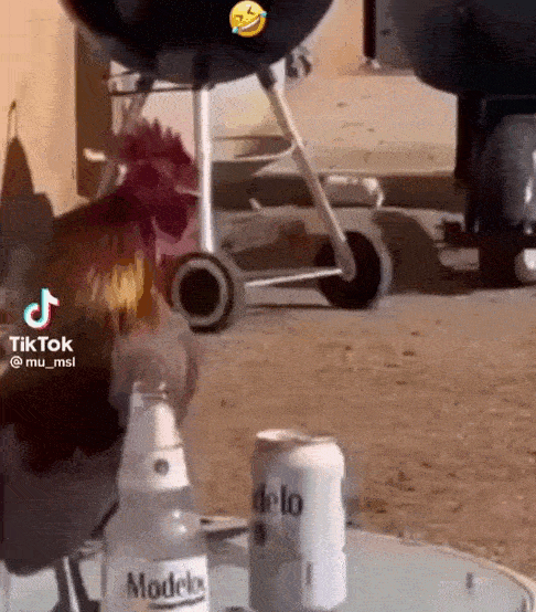 Daily Gifdump Daily Gifdump