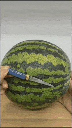 Daily Gifdump Daily Gifdump