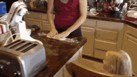 Daily Gifdump Daily Gifdump