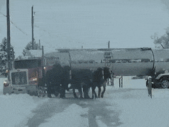 Daily Gifdump Daily Gifdump