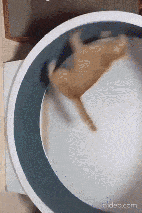 Daily Gifdump Daily Gifdump