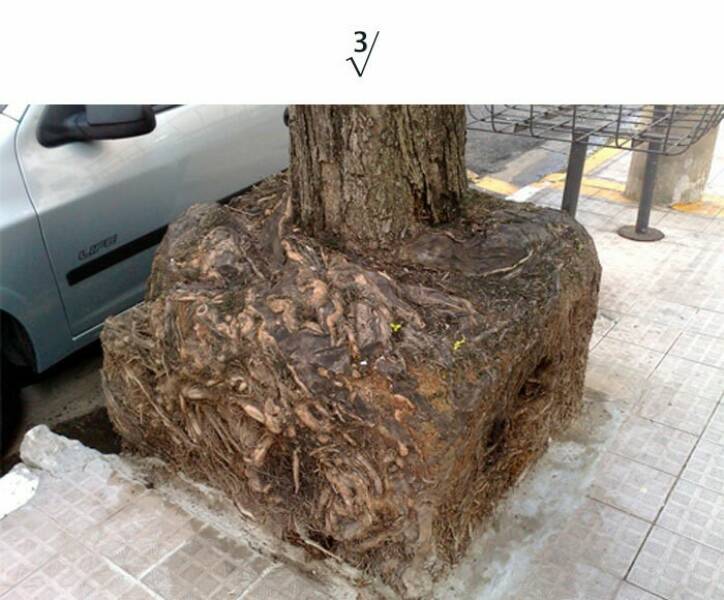 Charged With Humor: Electrifying Physics Jokes