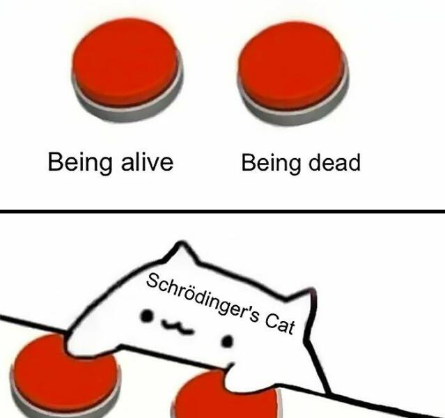 Charged With Humor: Electrifying Physics Jokes