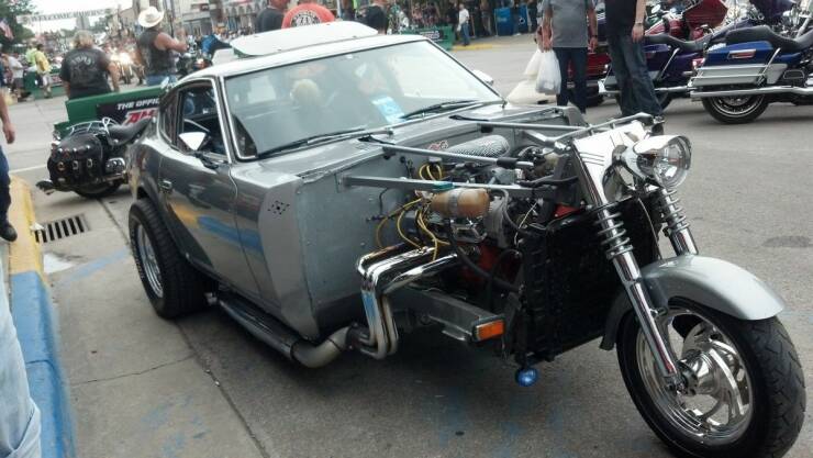 Daily Picdump