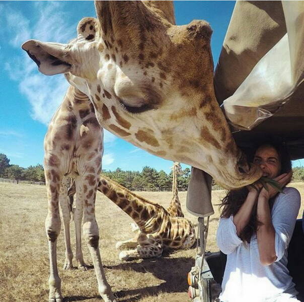 Daily Picdump