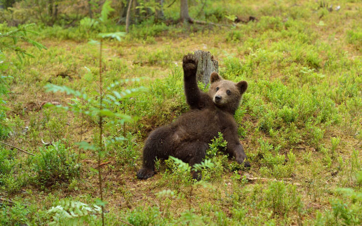 Daily Picdump