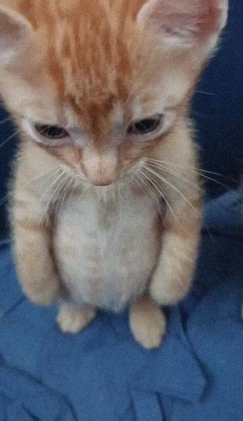 Daily Picdump