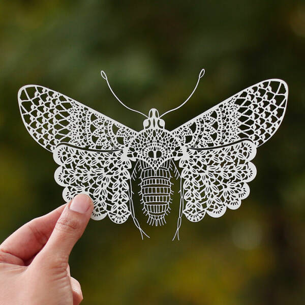 From Delicate Details To Bold Designs: Stunning Paper Artworks Loved