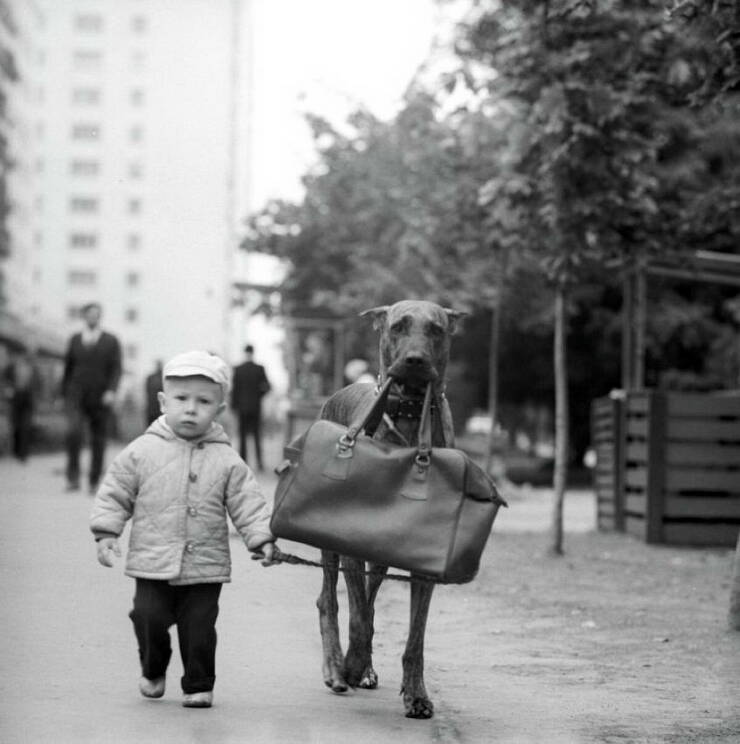 Morning Picdump