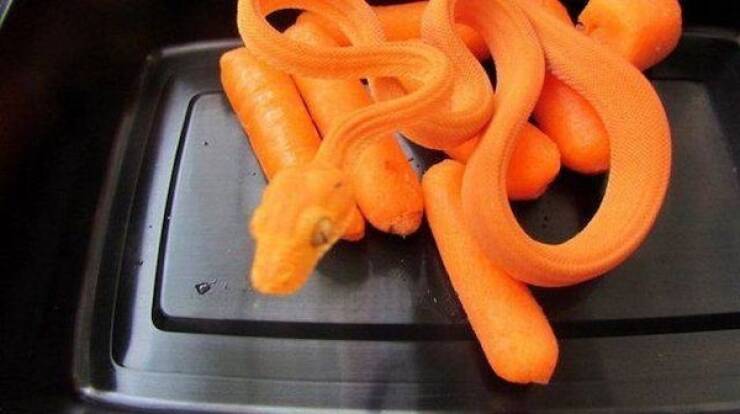 Pay Attention…Something’s Off…