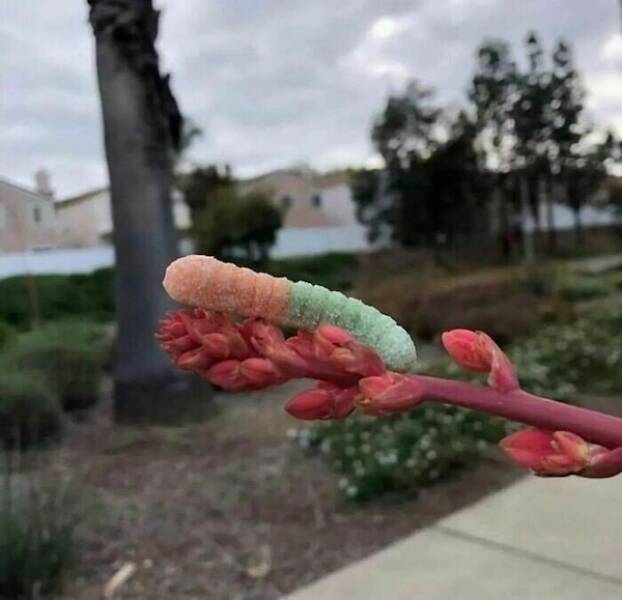 Pay Attention…Something’s Off…