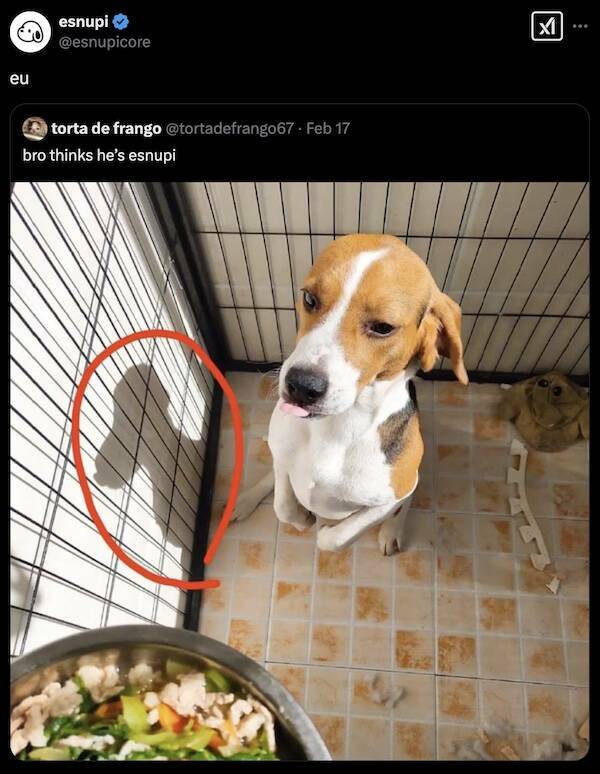 Pay Attention…Something’s Off…