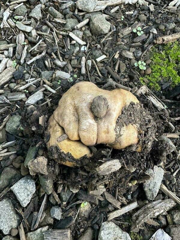 Pay Attention…Something’s Off…