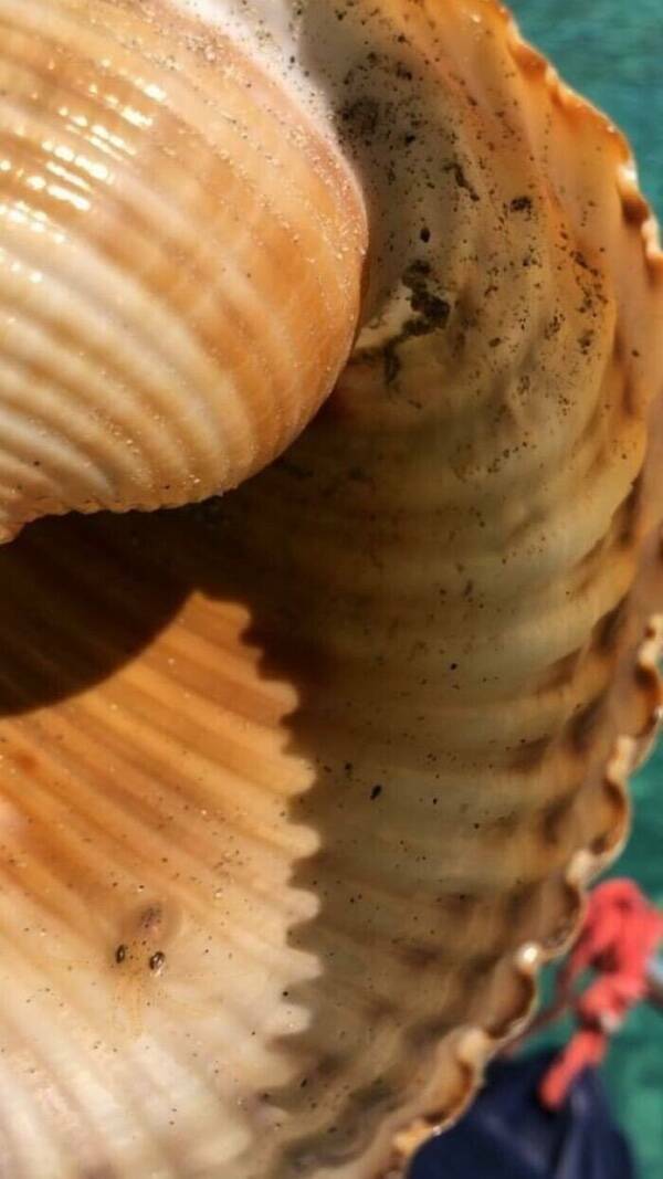 Pay Attention…Something’s Off…