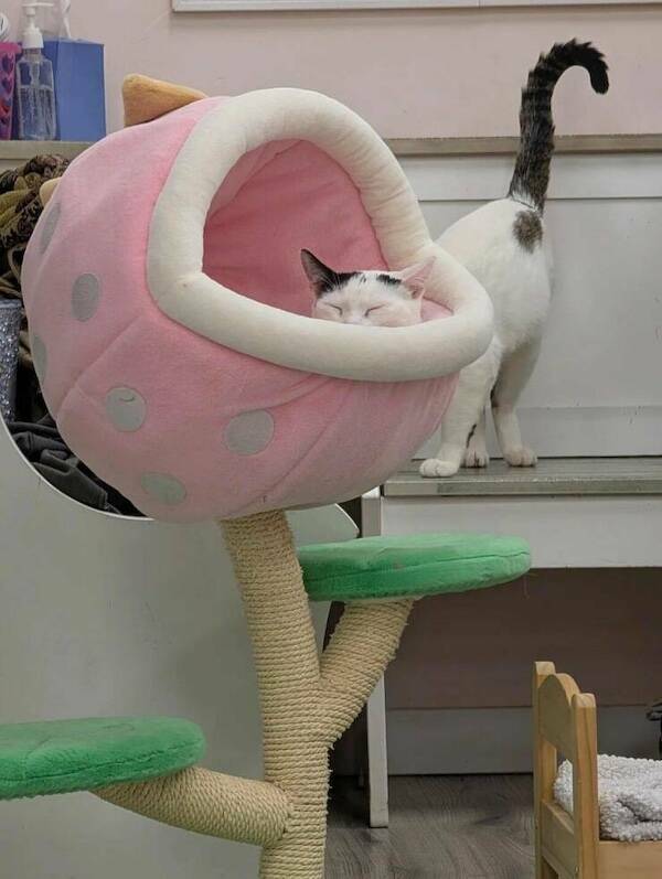 Pay Attention…Something’s Off…