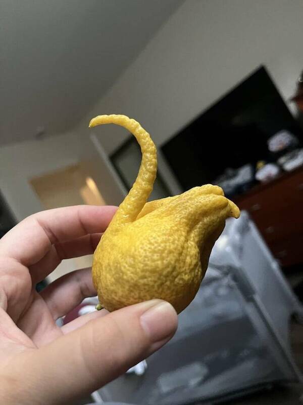 Pay Attention…Something’s Off…