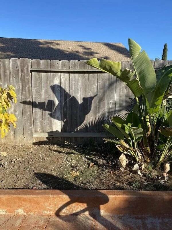 Pay Attention…Something’s Off…