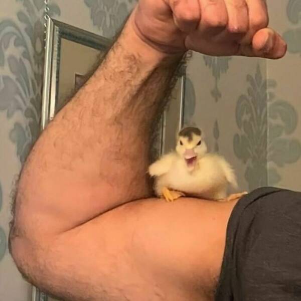 Photos So Bizarre Your Brain Will Buffer Mid-Scroll
