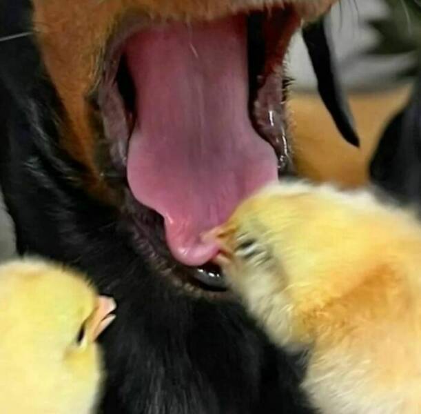 Photos So Bizarre Your Brain Will Buffer Mid-Scroll
