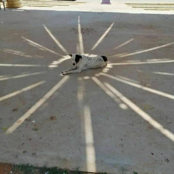 Photos So Bizarre Your Brain Will Buffer Mid-Scroll