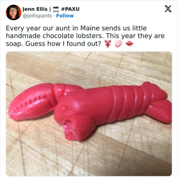 Some Days Just Come Out Swinging — And You Forgot Your Helmet