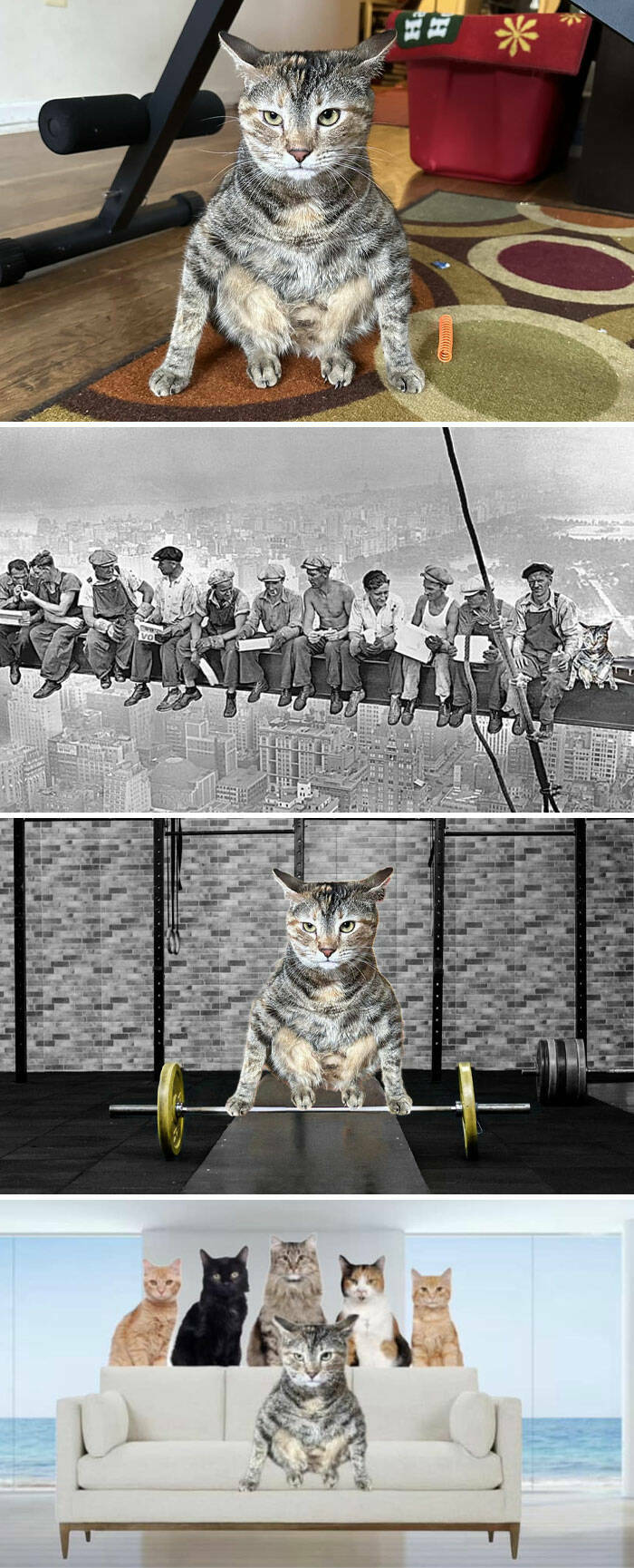 When You Ask For Photoshop Help And Instantly Regret It